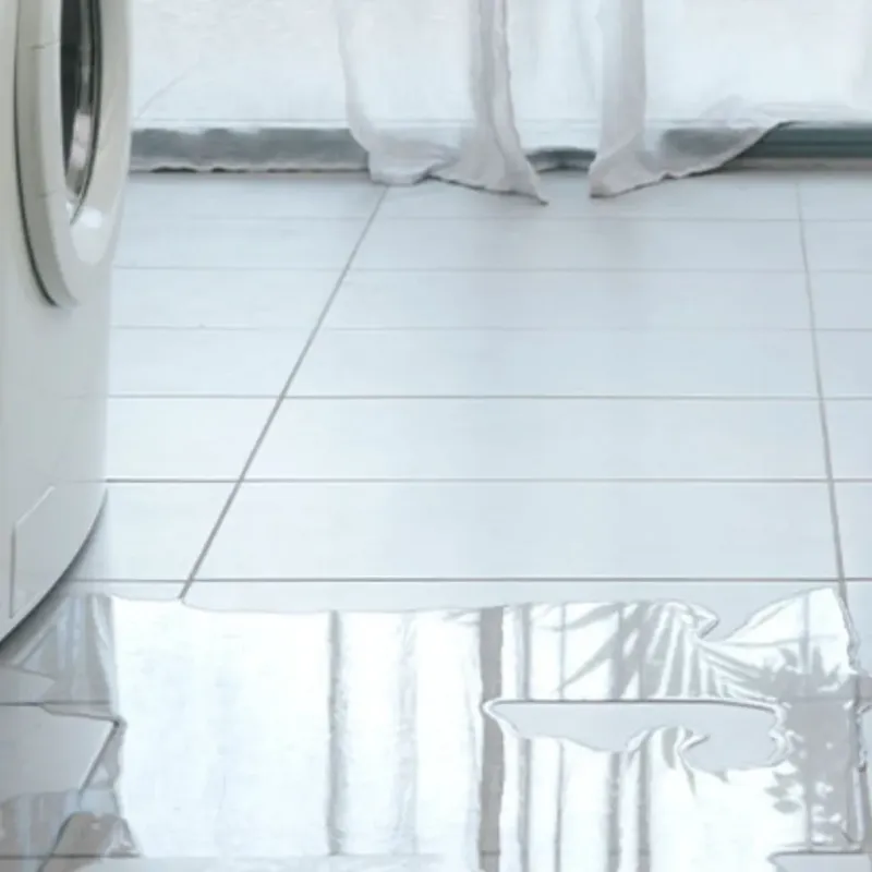 Appliance Leak Cleanup in Russell, GA
